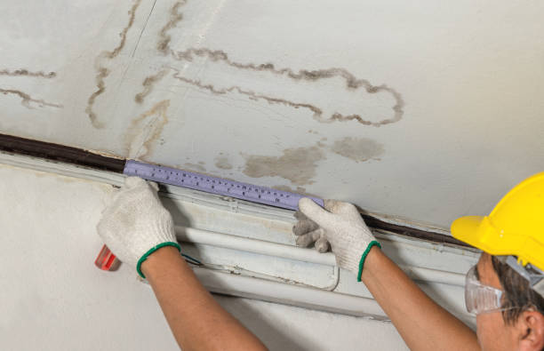 Reliable Basement Water Removal contractor in Cary, IL by Water Damage Irwin